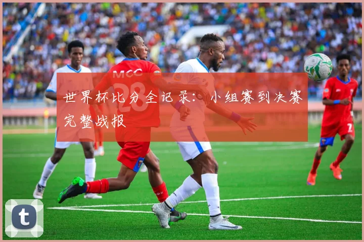 世界杯比分全记录：小组赛到决赛完整战报
