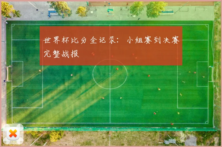 世界杯比分全记录:小组赛到决赛完整战报